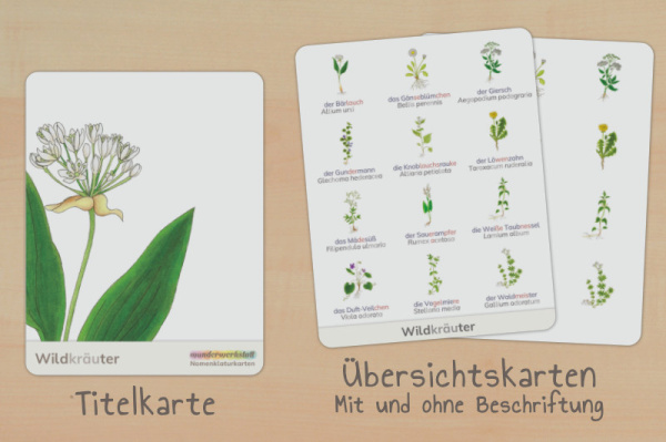nomenklatur_wildkraeuter_silben_titel_2