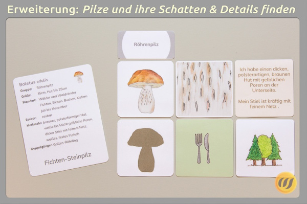 pilzwerkstatt_e1