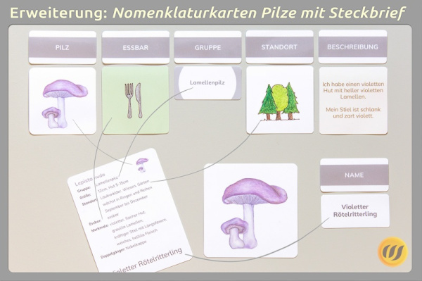 pilzwerkstatt_e2