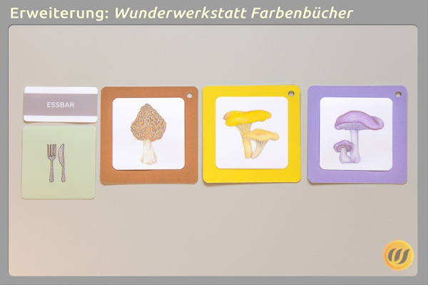 pilzwerkstatt_e3