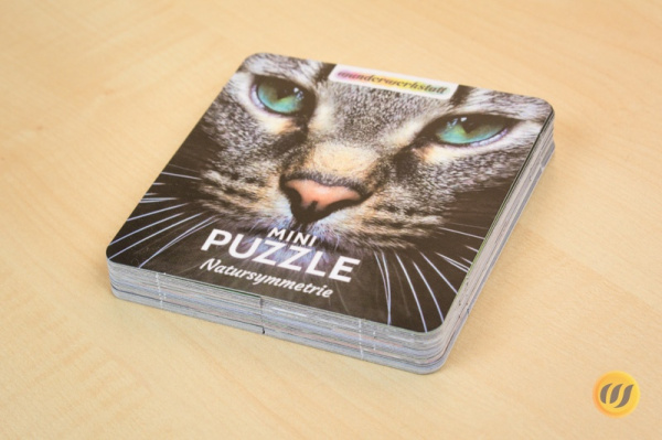 puzzle_symmetrie_druck2