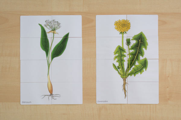 puzzle_wildkraeuter1