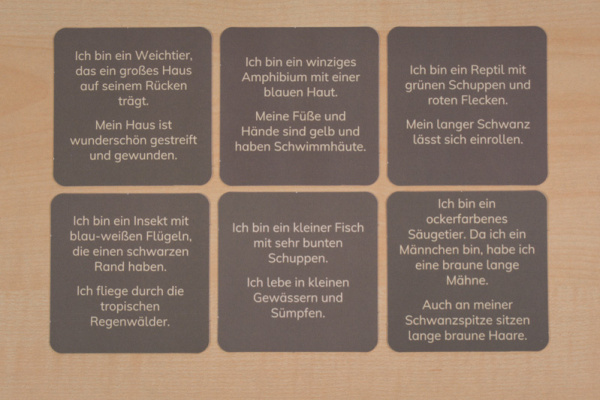 raetsel_afrika_2
