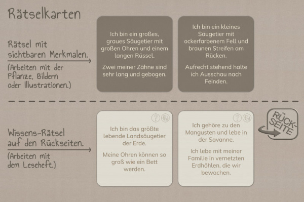raetsel_afrika__3