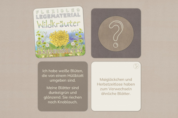raetsel_wildkrauter__1