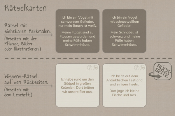 Rätselkarten - Tiere der Kontinente
