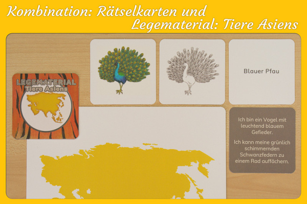 raetselkarten_asien_combo