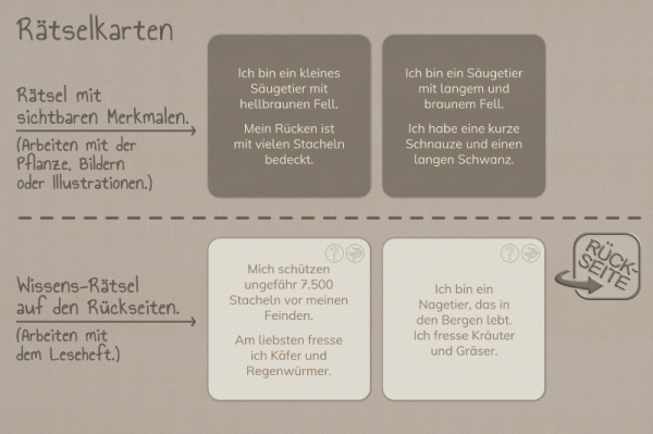 raetselkarten_europa_3