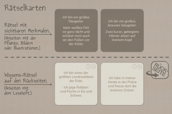 raetselkarten_nordamerika_3