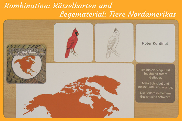 Rätselkarten - Tiere Nordamerikas
