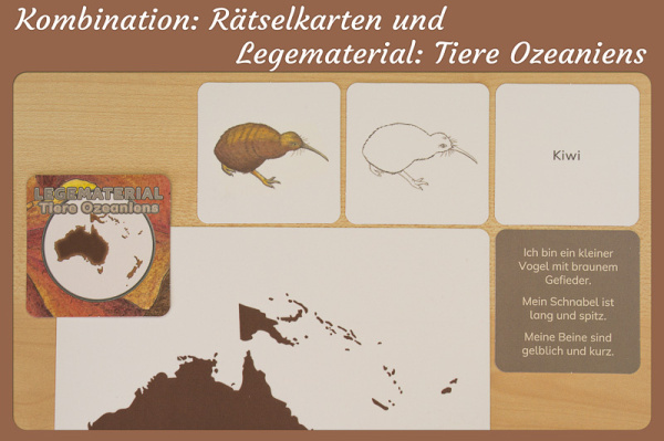 raetselkarten_ozeanien_combo