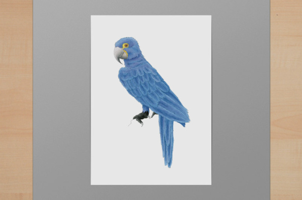 Digitaler Kunstdruck A6