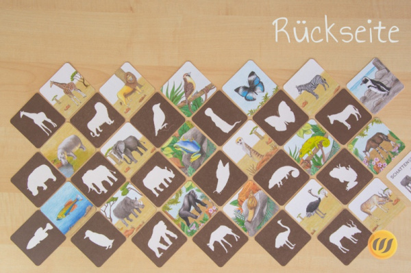 schatten_afrika_druck2