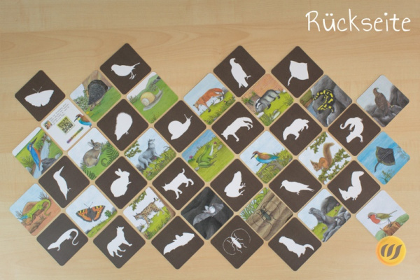 schatten_europa_druck12