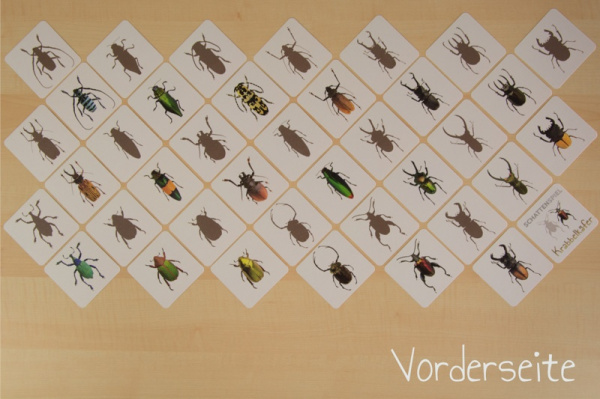 schatten_kaefer_druck5