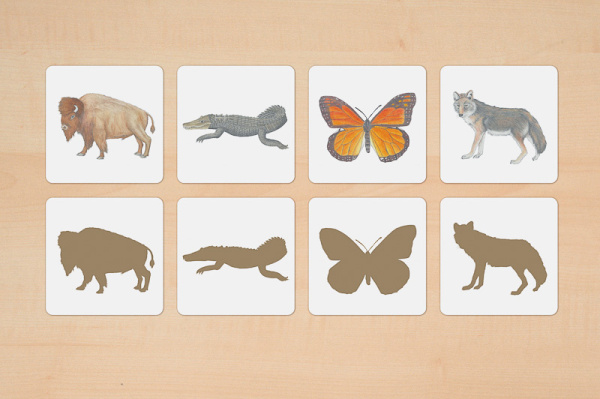 Download-Paket: Tiere Nordamerikas