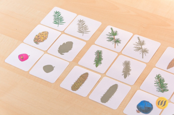 Download-Paket: Herbst