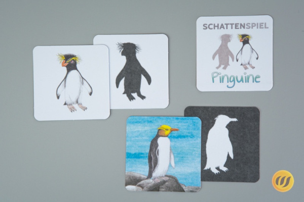 schatten_pingu3