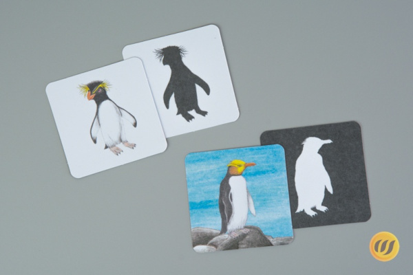 schatten_pingu5