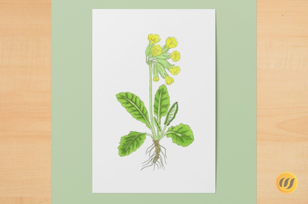 Digitaler Kunstdruck A6
