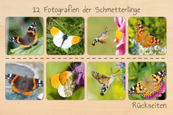 schmetterlingswerkstatt_print4