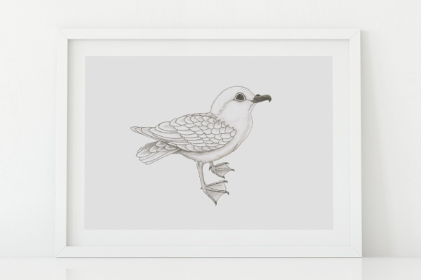 Schneesturmvogel A5