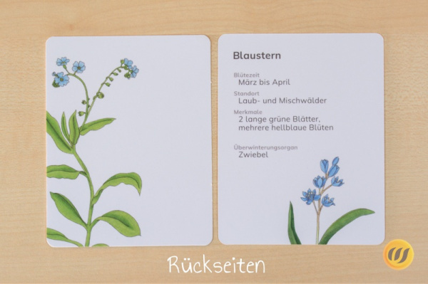 steck_frueh_druck6