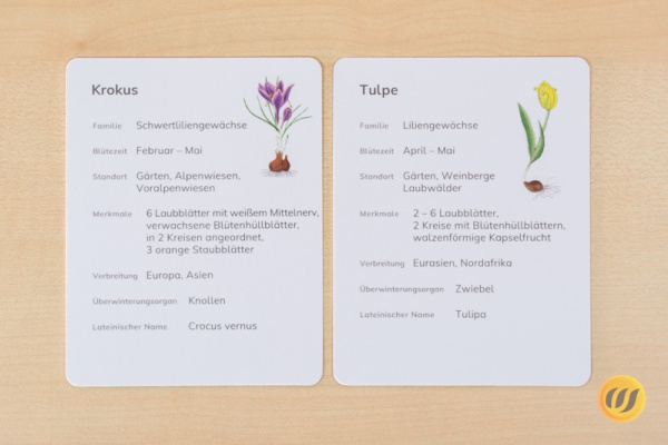 steck_fruehblueher_druck4