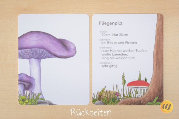 steck_pilze_druck3