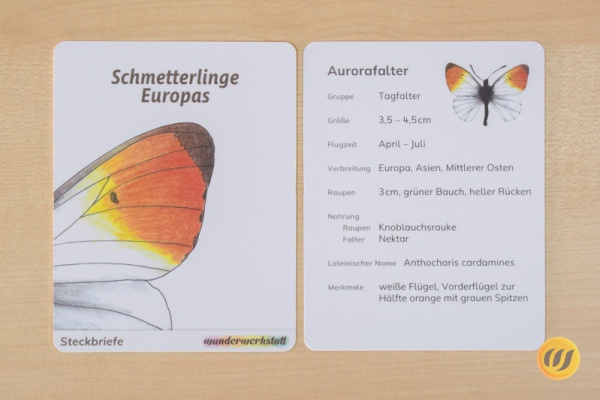 Steckbriefe 2-fach differenziert