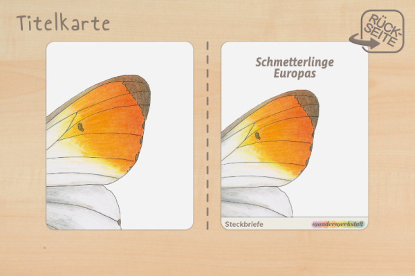 Steckbriefe 2-fach differenziert