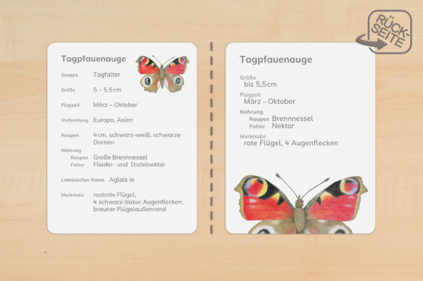Steckbriefe 2-fach differenziert