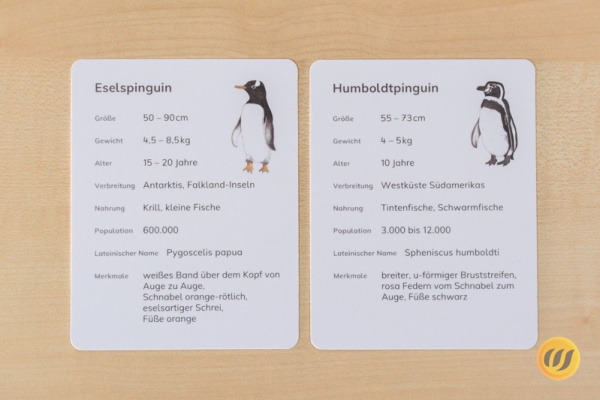 steckbrief_pinguin_druck3