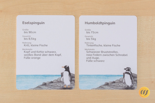 steckbrief_pinguin_druck4_1590462297