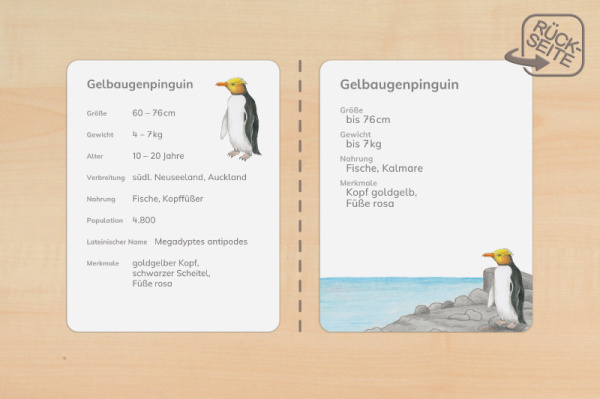 steckbrief_pinguin_druck_c