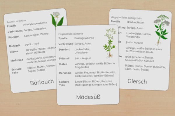 Download-Paket: Wildkräuter
