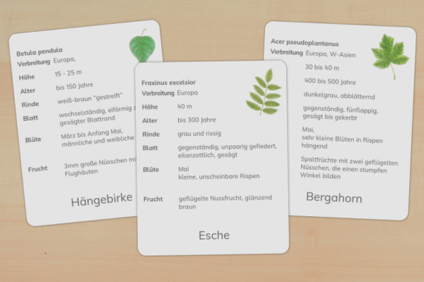 Download-Paket: Laubgehölze