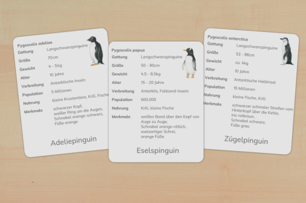 (Deutsch - Download)