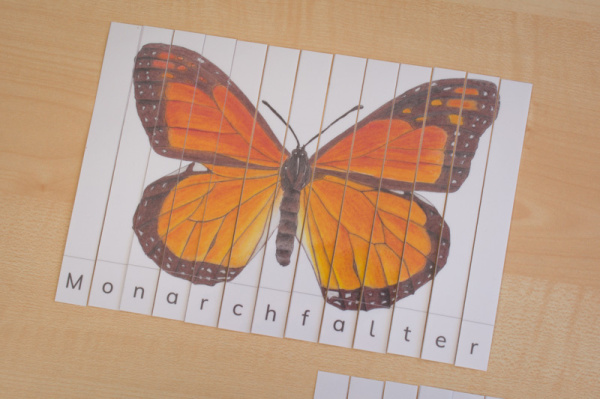 Tiere Nordamerikas Streifen-Puzzle (Download)