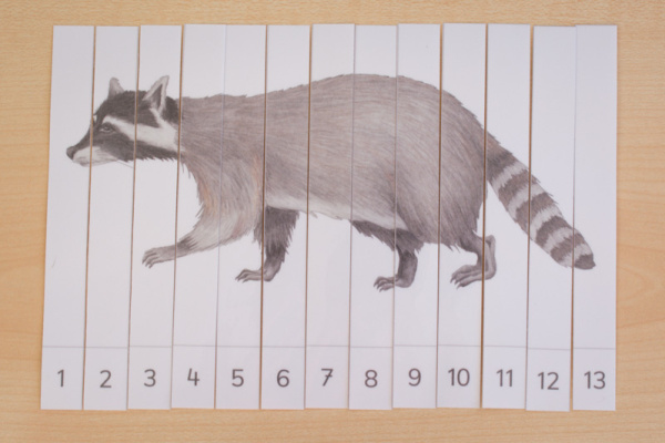 Tiere Nordamerikas Streifen-Puzzle (Download)