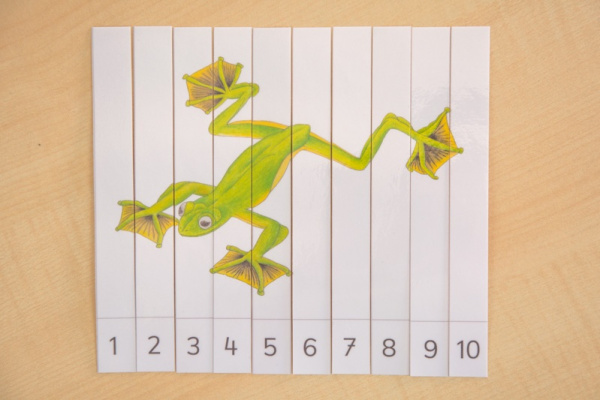 Tiere Asiens Streifen-Puzzle (Download)