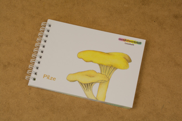 themenkiste_pilze_lese