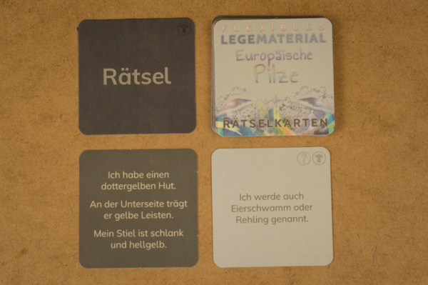 themenkiste_pilze_raetsel