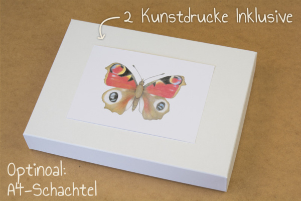 themenkiste_schmetterlinge_13