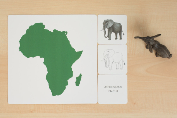 tiere_afrika_4
