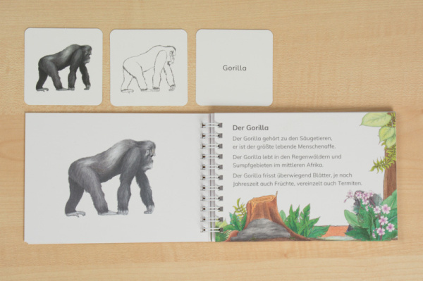 tiere_afrika_6