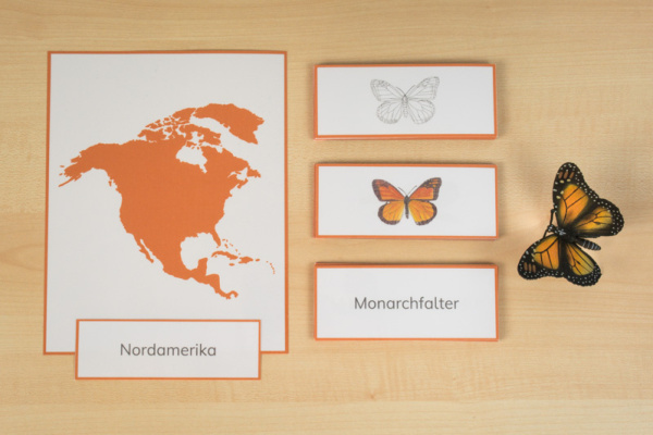 Download-Paket: Tiere Nordamerikas