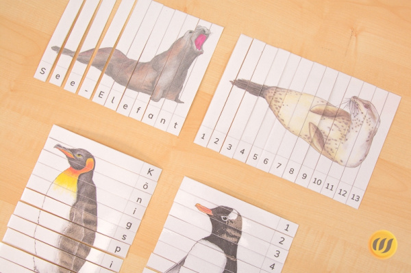 Download-Paket: Tiere der Antarktis