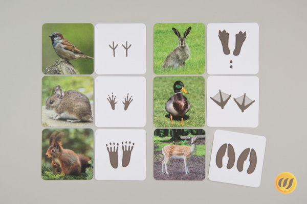 tierspuren_3b