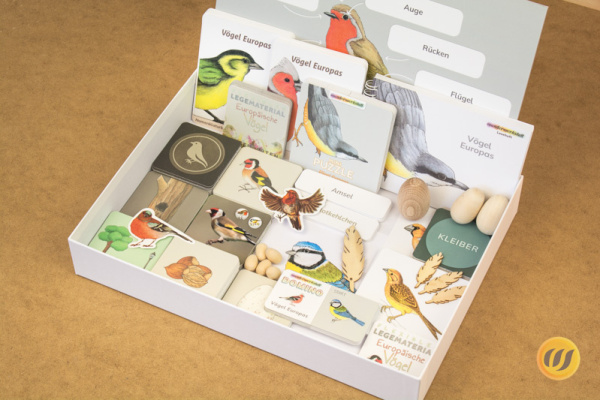 Großes Themenkisten-Paket (6 Themenkisten)